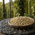 Poivre Blanc de Kampot IGP Doux, Floral & Végétal | Cambodge